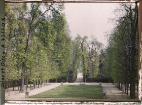 Image représentant Parterre dans le parc