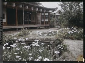 Image représentant Jardin d'iris de Horikiri