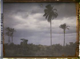 Image représentant Tornade en préparation