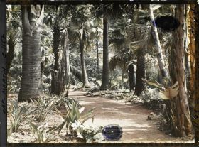 Image représentant le jardin