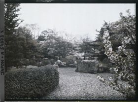 Image représentant Palais Nijô-jô : Jardin du palais Ni-no-Maru