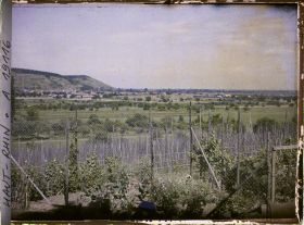 Image représentant France, Thann, Vue prise de près de Thann s/les hauteurs de la cote 42S, vieux Thann évacué