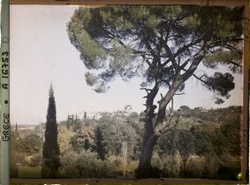 Image représentant Mont Athos, Vatopédi, Le Monastère vu à travers les pins