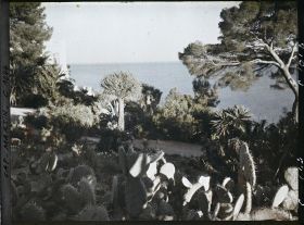 Image représentant Vue s/ la gde Villa et la mer