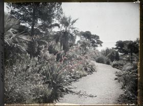 Image représentant Le Jardin