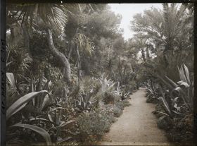 Image représentant Le Jardin