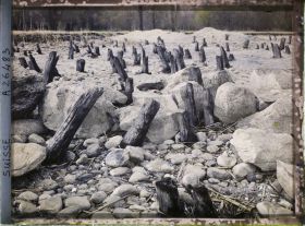 Image représentant Site palafittique préhistorique des Alpes, pieux en bois visibles lors de la baisse des eaux après la grande sécheresse de 1921