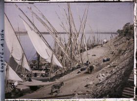 Image représentant Bords du Nil