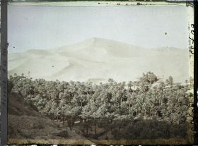 Image représentant La partie est de l'oasis, au pied de la dune