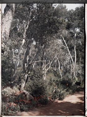 Image représentant Cap Martin - Le Jardin