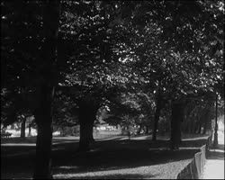 Image représentant L'avenue du Bois de Boulogne