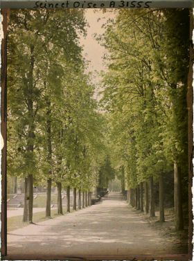 Image représentant L'allée de la Carrière dans le parc