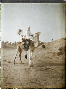 Image représentant Un officier méhariste sur sa monture