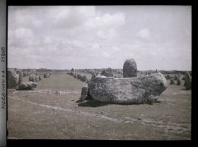 Image représentant Alignements de pierres dressées