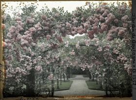 Image représentant Axe central du verger-roseraie vu depuis le second carrefour avant la dépendance