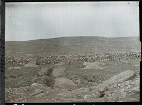 Image représentant Organisations défensives turques