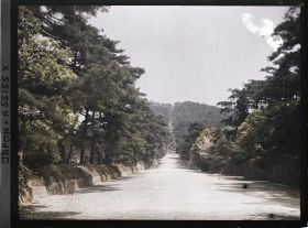 Image représentant Allée menant au deuxième torii (Ni-no-torii) de l'entrée du sanctuaire Hôkoku-jinja (Toyokuni-jinja)