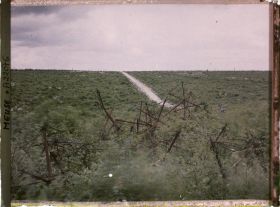 Image représentant France, Tranchées de Calonnes, Tranchée de Calonnes et Côte de Senoux