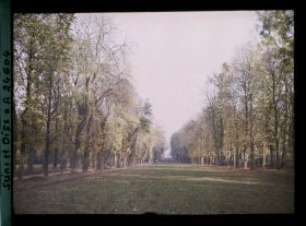 Image représentant Une allée dans le parc
