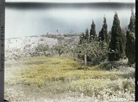 Image représentant Végétation aux abords du village