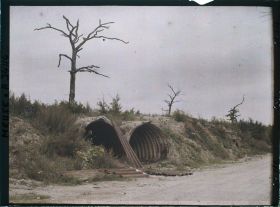 Image représentant France, Verdun, Abris et arbres morts sur la route avant le Cimetière