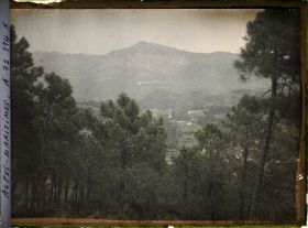 Image représentant Paysage de petite montagne vu depuis une forêt de pins