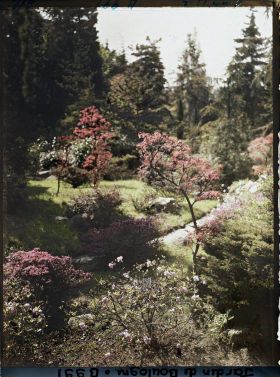 Image représentant Chemin du " sanctuaire japonais " bordé d'érables et d'azalées, à la sortie du " village japonais "