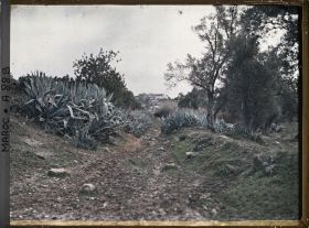 Image représentant Sur la route menant à Moulay Idriss
