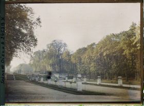 Image représentant Le parc, la terrasse de l'Orangerie et l'allée des Statues