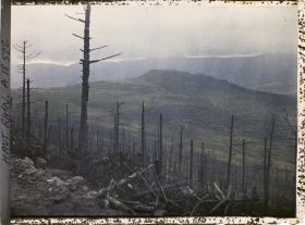 Image représentant France, Le Hornelkopf (Position Françaises)