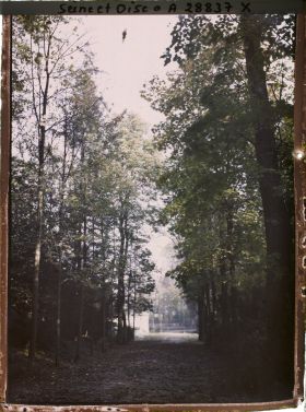Image représentant La grande allée du Trocadéro?
