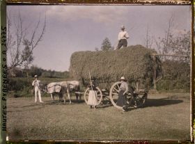 Image représentant France, Arreau, La récolte du foin