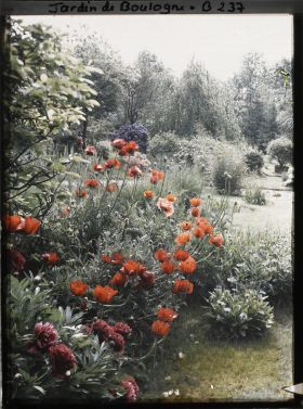 Image représentant Massif fleuri, proche de la bande gazonnée séparant les " étangs " du marais, vu vers l'est, sud-est