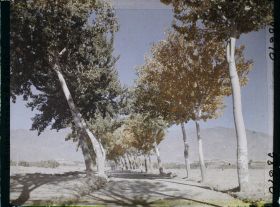 Image représentant Afghanistan, Kaboul, La route de Paghman Kaboul, effet d'automne