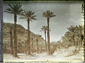 Image représentant Vue de l'oasis avec l'éperon rocheux de la hamada