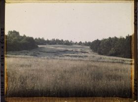 Image représentant Ile de France, Vallangoujard, Champ d'Avoine au lever du soleil