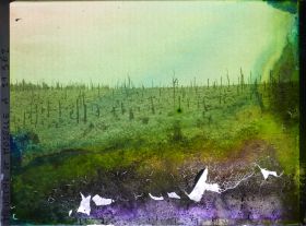 Image représentant France, Bois le Prêtre, Le bois le Prêtre dans Sa partie Sud Ouest