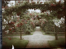 Image représentant Axe central du verger-roseraie vu vers le jardin anglais, depuis le second carrefour côté dépendance