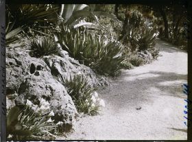 Image représentant Le jardin