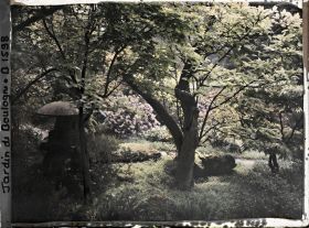 Image représentant Arbustes et lanterne au bord d'un chemin proche du torii et des ponts du " sanctuaire japonais "