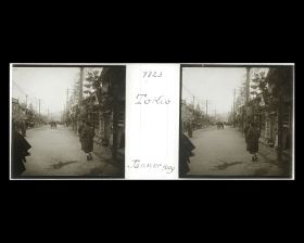 Image représentant Passants dans une rue décorée pour le nouvel an