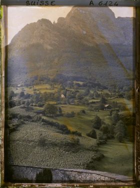 Image représentant Culture de la vigne aux abords du château de Sargans