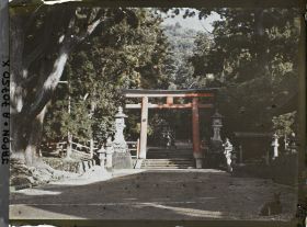 Image représentant Sanctuaire Kasuga-Jinja (ou Kasuga-Taisha), le deuxième torii (ni-no-torii), l'allée des lanternes et un daim sacré (shika)