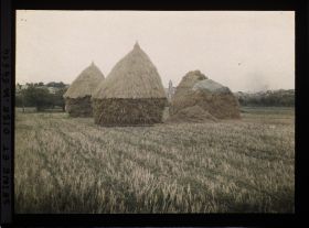 Image représentant Ile de France, Pontoise, Meules de blé