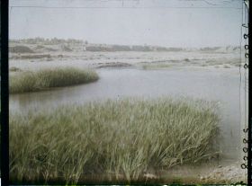 Image représentant Afghanistan, Kalat-i-Ghilzai, Rives du Tarnak