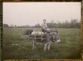 Image représentant Une laitière