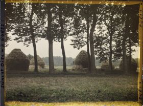 Image représentant Ile de France, Nointel, Meules de blé (temps pluvieux) en bordure d'une allée de peupliers (Temps gris)