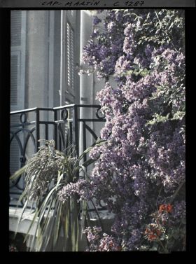 Image représentant Balcon fleuri à Dunure