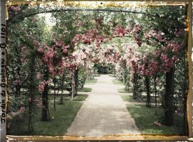 Image représentant Axe central du verger-roseraie vu vers la dépendance, après le rond-point proche du jardin français