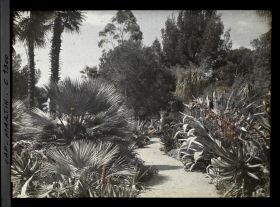 Image représentant Le Jardin